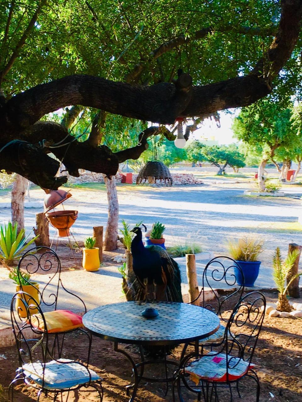 & Le Calme Guest house 3*